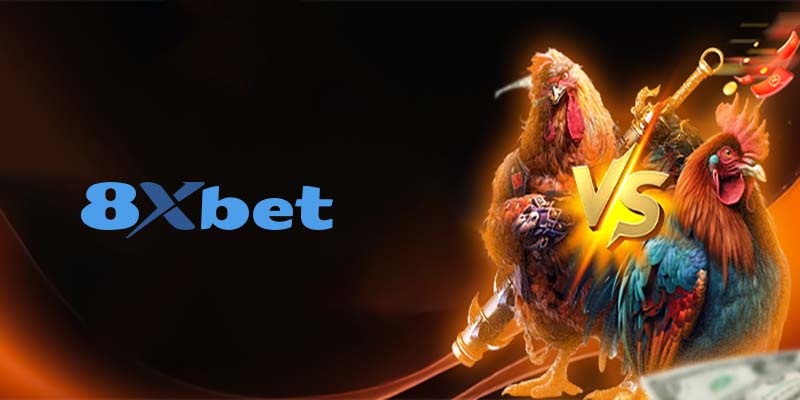 Tại sao Đá Gà 8Xbet thu hút người chơi?